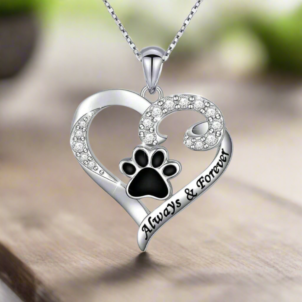 Collana con Impronta di Zampa di Cane – Design a Cuore in Acciaio Inossidabile con Zirconia