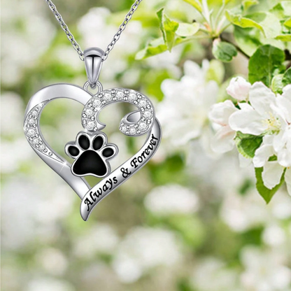 Collana con Impronta di Zampa di Cane – Design a Cuore in Acciaio Inossidabile con Zirconia
