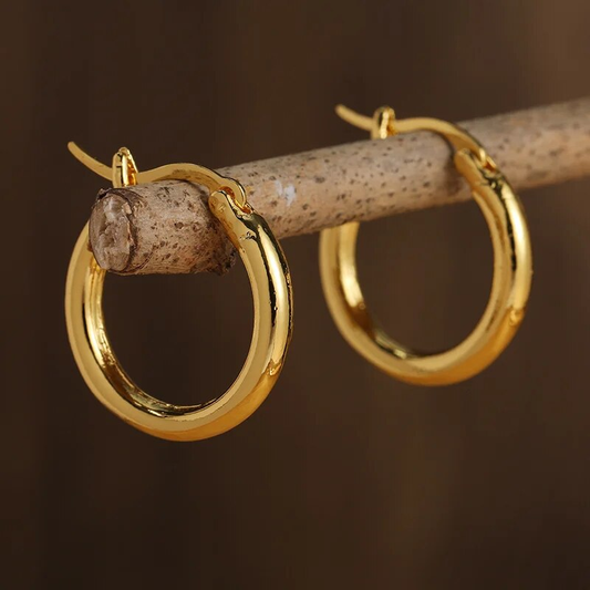 Orecchini a Cerchio in Oro e Argento